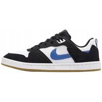 nike zapatillas sb alleyoop para hombre