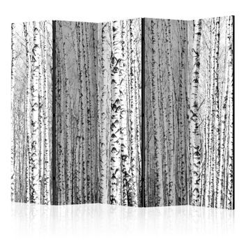 Biombo - Birch Forest Ii (225x172 Cm)