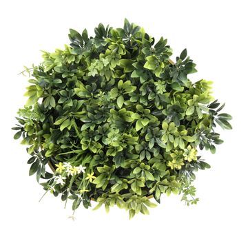 Estera Vegetal / De Pared / Jardín Vertical Leafluxe Wall 2 50x50 Cm Verde Hjh Living