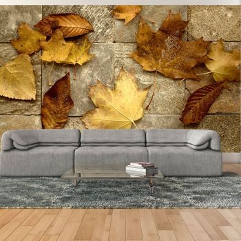 Fotomural - Señal De Otoño