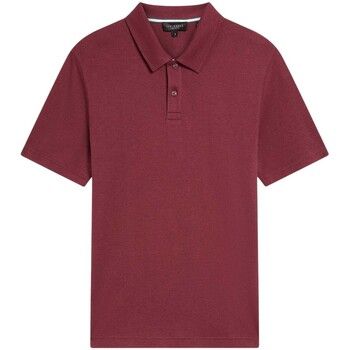 Ted Baker Polo GT20514 para hombre