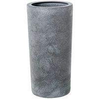 paraguero gris