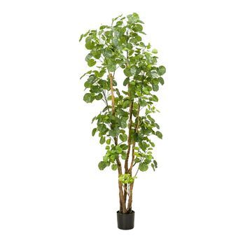 Planta Artificial Decorativa Árbol Aralia 35x165x35