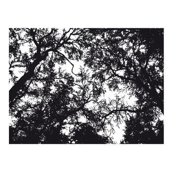 Papel Pintado 3d - Bleak Forest (300x231 Cm)
