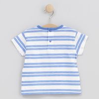 cotton fish tops y camisetas 90674 para nino