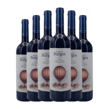 Lan Vino Tinto Marqués De Burgos Ribera Roble 75 Cl 14% Vol. (pack De 6 Unidades)