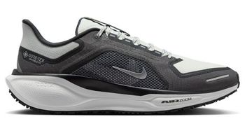 Nike Pegasus 41 GTX - hombre - gris