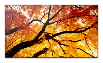MONITOR SHARP M432 MultiSync 42.5