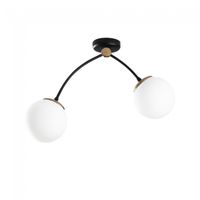 plafon de techo mosoma 2 luces
