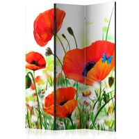 biombo - country poppies 135x172 cm
