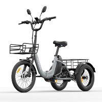 eu direct cysum ag1 pro 2026 triciclo electrico de carga nfc desbloqueo 48v 20ah bateria 250w motor 1000w potencia pic