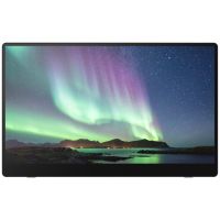 monitor portatil ricoh 150 oled 156 full hd tactil 560g altavoces usb negro