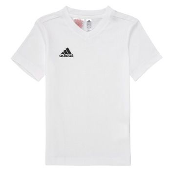 adidas Camiseta ENT22 TEE Y para niña
