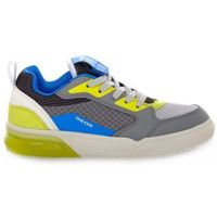 geox zapatos bajos grayjay para nino