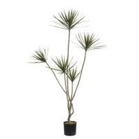 cordyline en maceta artificial verde h180