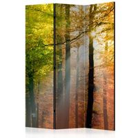biombo - forest colours 135x172 cm