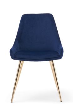Fern Blue Velvet Dining Chairs - Blue