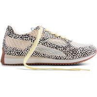 gioseppo zapatillas 78626 dalmata para mujer