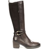 dorking botas d9752 skimostrechcafe para mujer