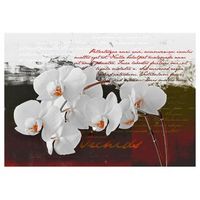 papel pintado 3d - el diario y la orquidea 350x245 cm