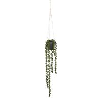 planta artificial senecio verde  h56xb9xl9cm