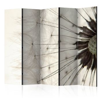 Biombo - White Dandelion Ii (225x172 Cm)
