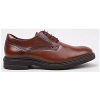 fluchos zapatos bajos f0630 para hombre