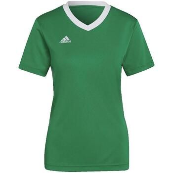 adidas Bañador Entrada 22 para mujer