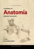 cuadernos de anatomia aparato locomotor