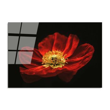 Pintura Vidrio Templado Uv-204 Multicolor 70x100 Cm