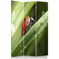 biombo ladybird - separador de ambientes  cm 110x150 3 paneles