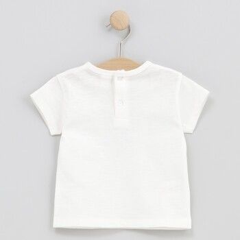 cotton fish Tops y Camisetas 90685 para niño