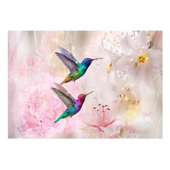 Papel Pintado 3d - Colourful Hummingbirds (pink) (250x175 Cm)