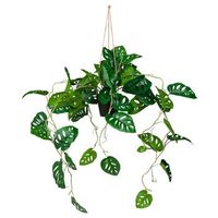 planta artificial monstera climb verde hjh office