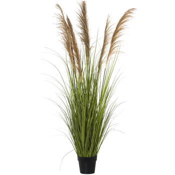 Planta Artificial Pu Caña Natu Ral 173 Cm.