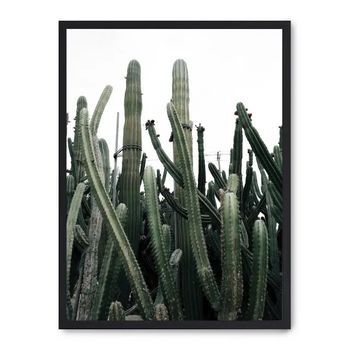 Cuadro Cactus Iii
