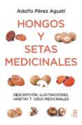 hongos y setas medicinales descripcion ilustraciones habitat y