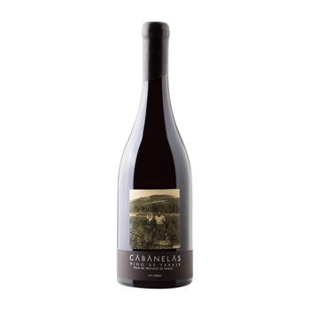 Valtuille Vino Tinto Cabanelas Bierzo Crianza 75 Cl 14% Vol.