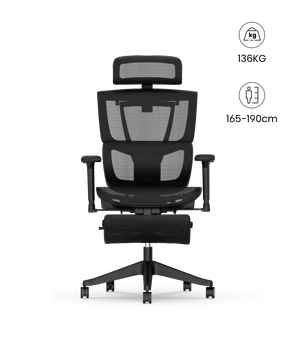 Silla Ergonómica Multi-Ajustable con Soporte Lumbar Dividido