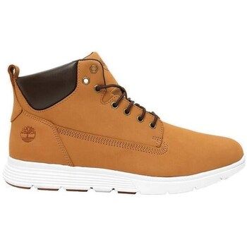 Timberland Zapatillas altas TB0A6BE5754 para hombre