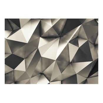 Papel Pintado 3d - Cosmic Silver (250x175 Cm)