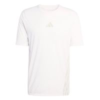 adidas terrex xpr  camiseta de running hombres-blanco