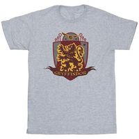 harry potter camiseta gryffindor para nina