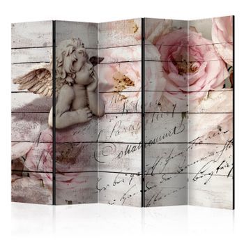 Biombo - Angel And Calm Ii [room Dividers]