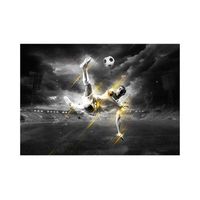 papel pintado 3d - la leyenda del futbol 400x280 cm