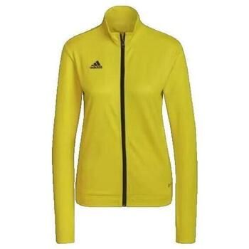 adidas Chaqueta deporte Veste de survêtement Entrada 22 jaune para mujer