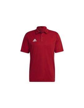 Polo de Fútbol adidas Ent22 Hombre