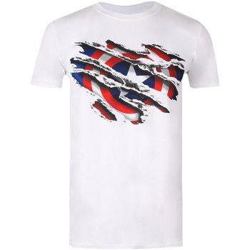 Marvel Camiseta TV462 para niño