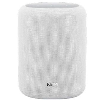 Altavoces WiiM portátiles estéreo 100W con Wi-Fi 6E, Bluetooth 5.3 y Alexa