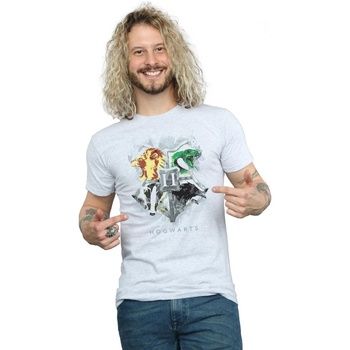 Harry Potter Camiseta Hogwarts para hombre